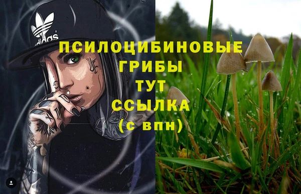 PSILOCYBIN Баксан