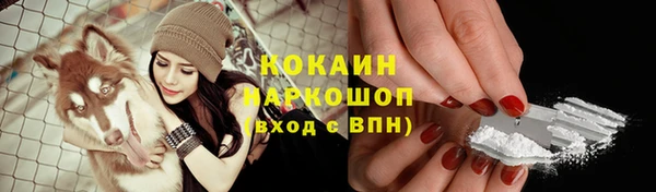 PSILOCYBIN Баксан